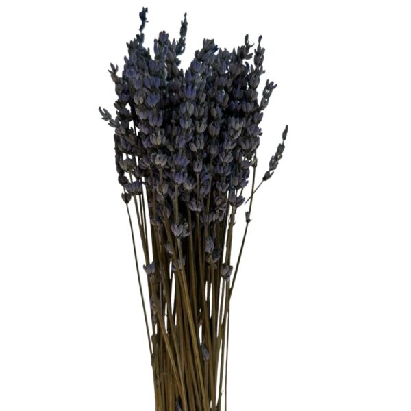Dry lilac Lavender - Image 2