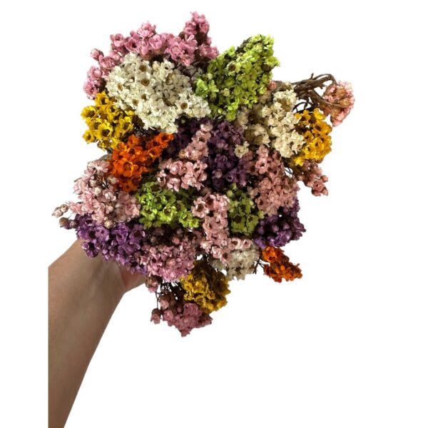Dry bouquet Oxodia Daisy - Image 2