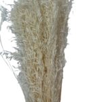 Dry white Munni