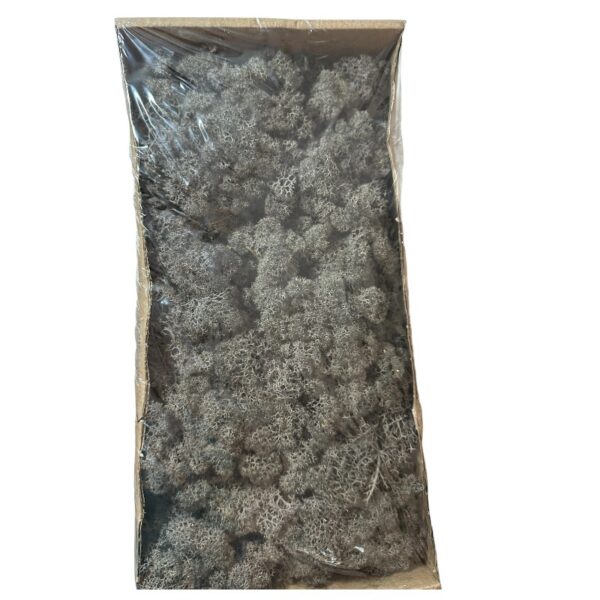 Preserved box Finnish grey - Image 2