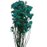 Preserved blue Gypsophila MillionDaisy - Image 2