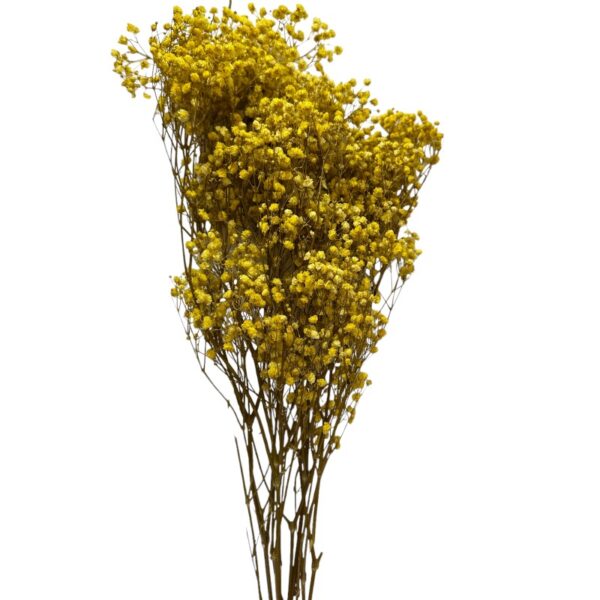 Preserved yellow Gypsophila - Image 2