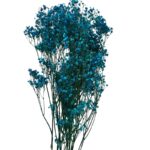 Preserved blue Gypsophila - Image 2