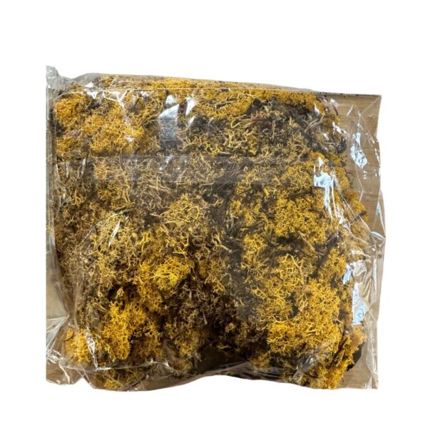 Preserved bag Icelandic moss yellow - Image 3