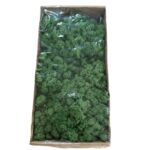 Preserved Finnishmoss Grass green