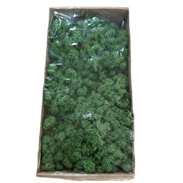 Preserved Finnishmoss Grass green