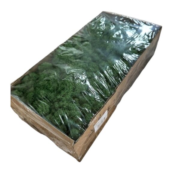 Preserved Finnishmoss Grass green - Image 2