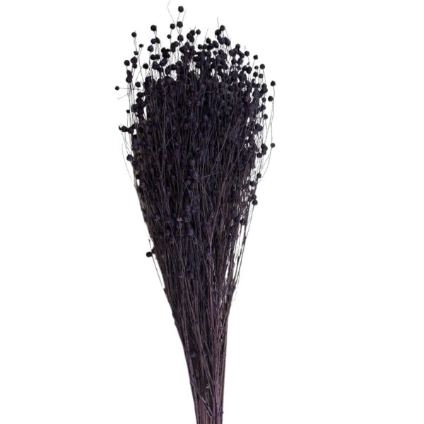 Dry lilac Linum - Image 2