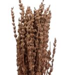 Dry cooper Lavender