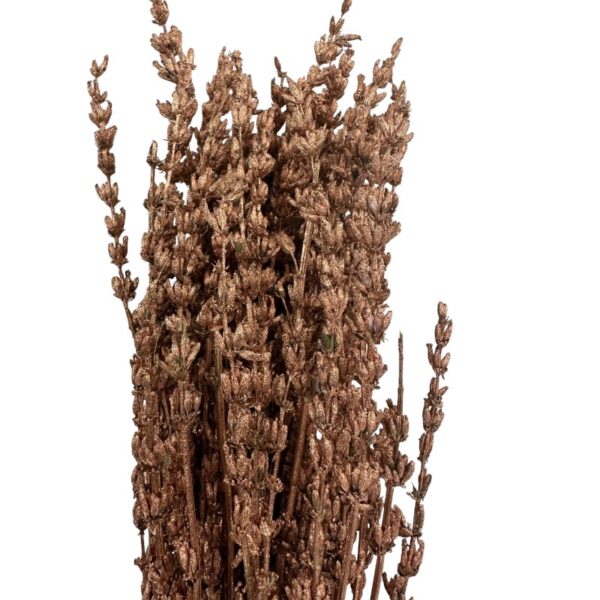 Dry cooper Lavender