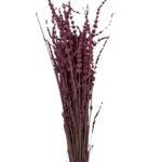 Dry lavender Fuchsia - Image 3