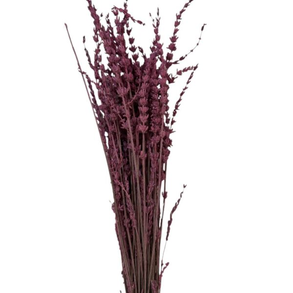 Dry lavender Fuchsia - Image 3