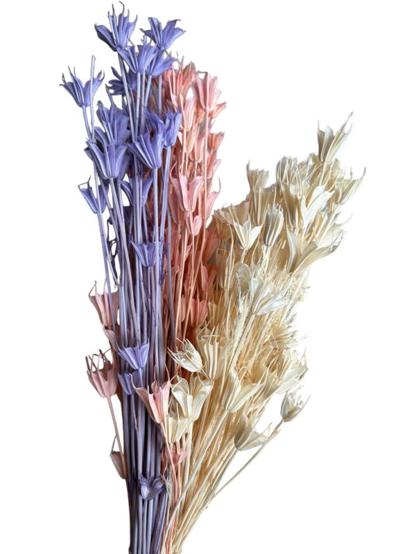 Dry Nigella Orientalis mix - Image 2