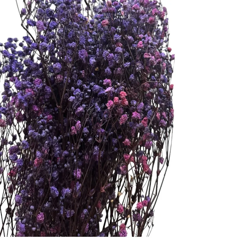 Preserved lilac/pink Gypsophila