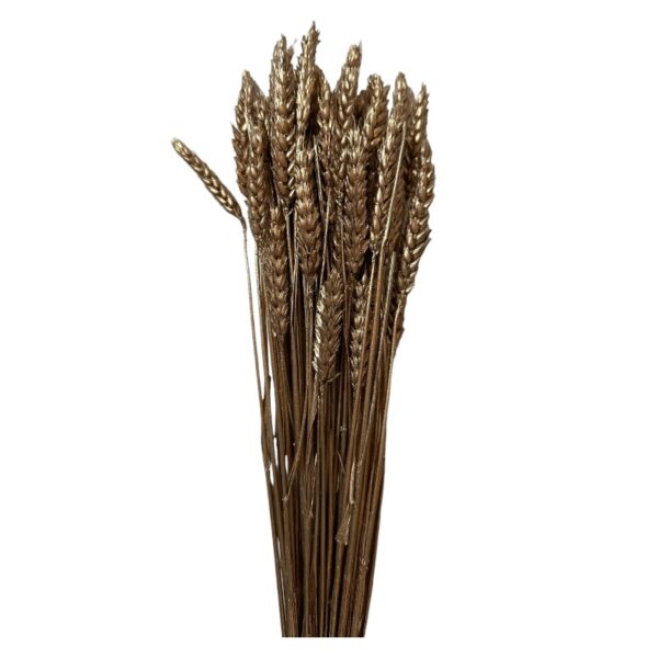 Dry Wheat gold - Image 2