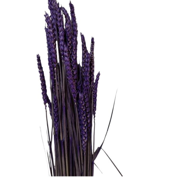 Dry Wheat purple - Image 2