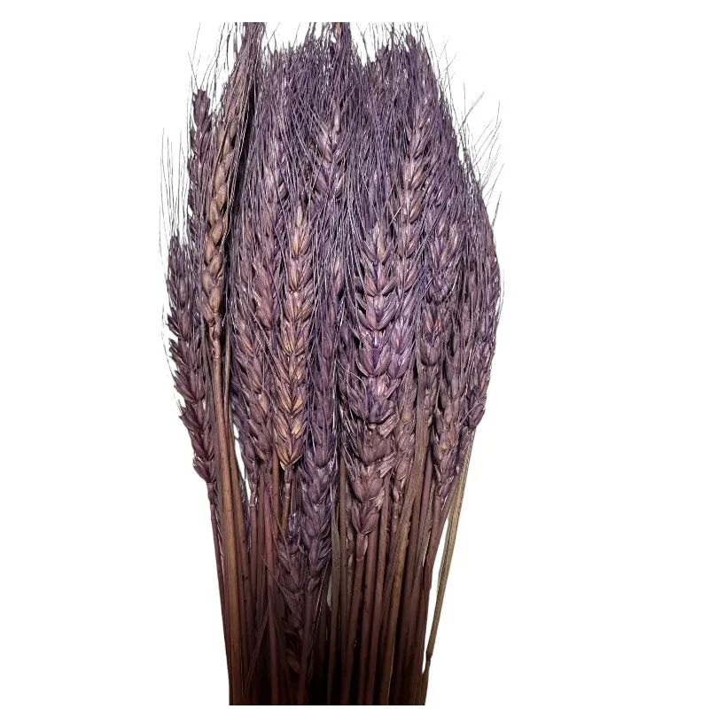 Dry Triticum lavender 1 bunch
