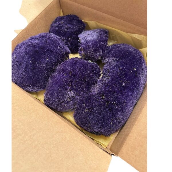 Preserved Moss ball purple - Image 2