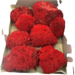 Preserved Moss ball red - Image 2