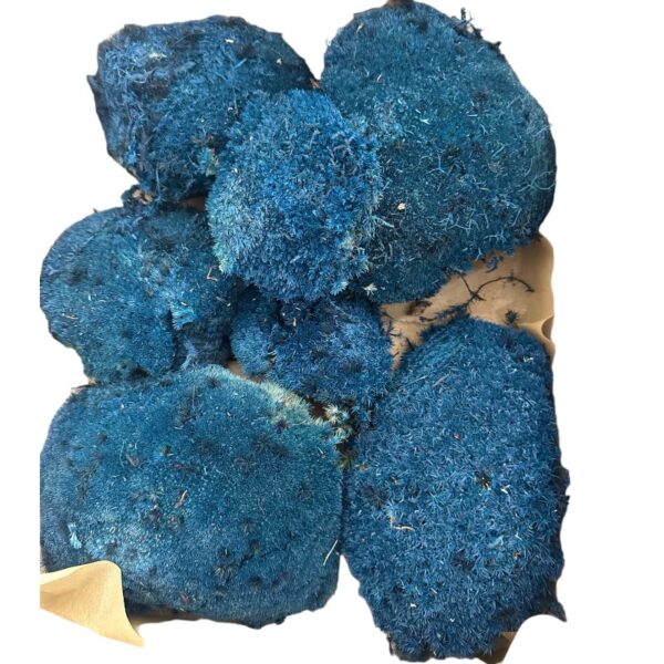 Preserved Moss ball blue - Image 2