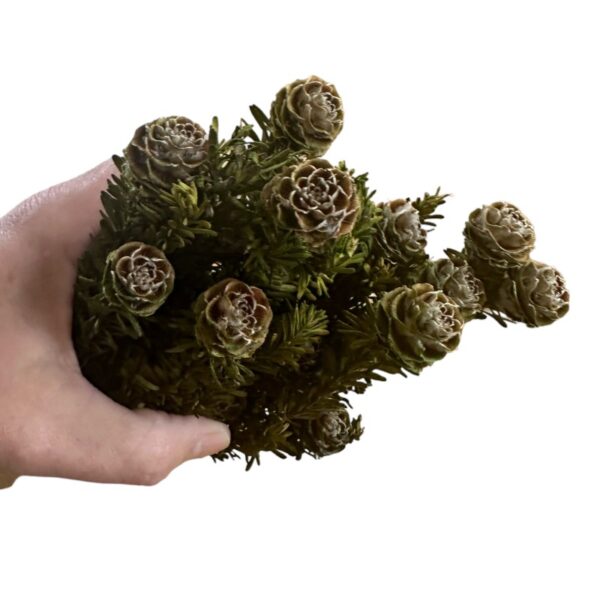 Preserved Tortum femelle green1 bunch