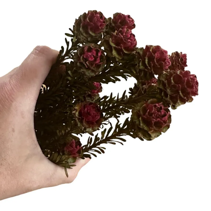 Preserved Tortum femelle burgundy 1 bunch