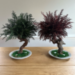 Preserved red Thuya bonsai - Image 2
