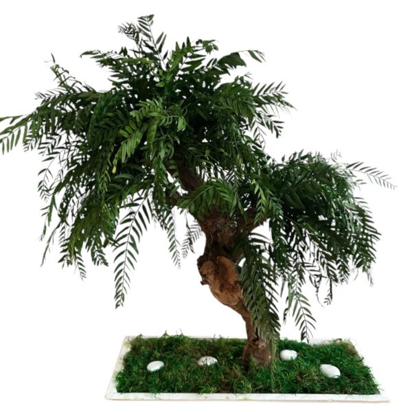 Preserved false pepper bonsai