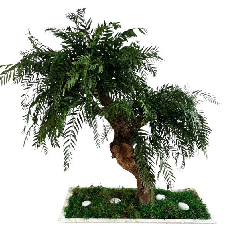 Preserved false pepper bonsai