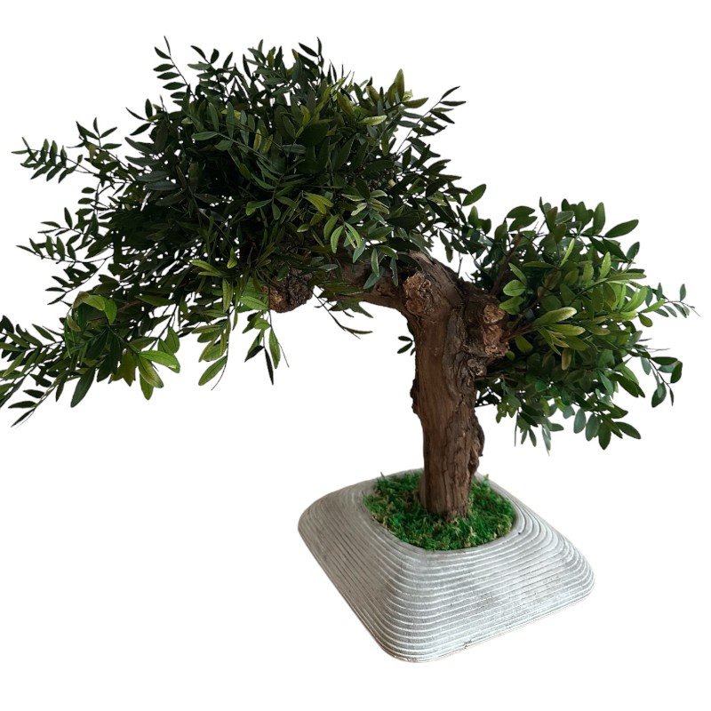 Preserved green foliage Bonsai