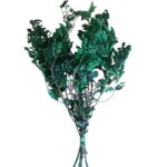 Preserved green Pittosporino - Image 6