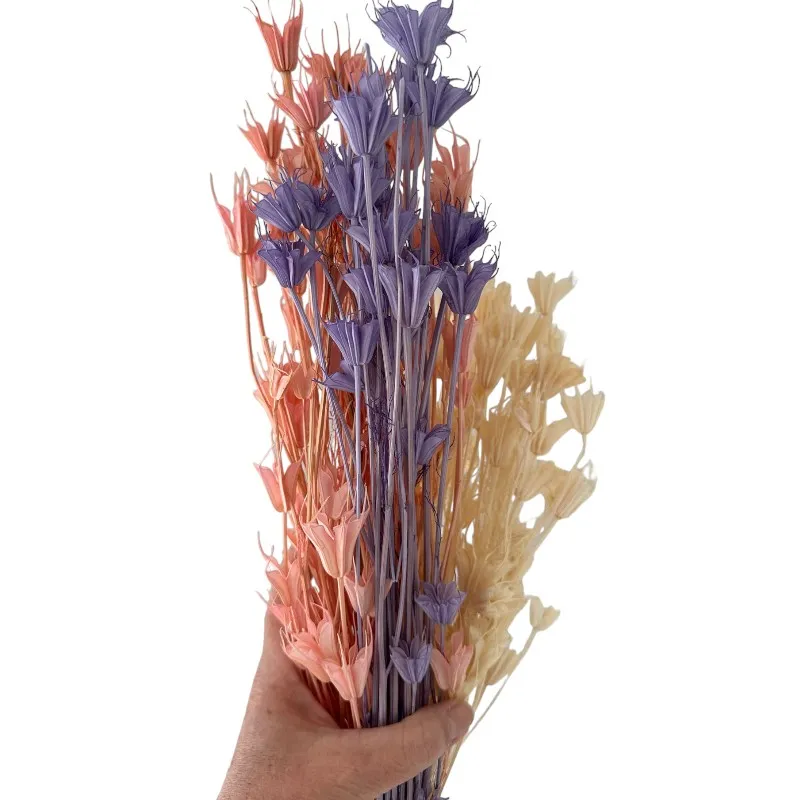 Dry Nigella Orientalis mix