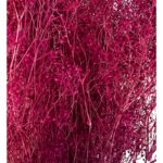 Dry baby's breath red - Image 2
