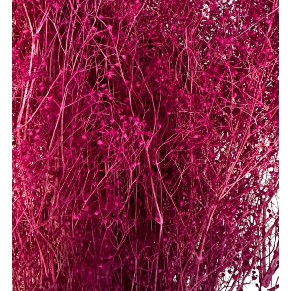 Dry baby's breath red - Image 2