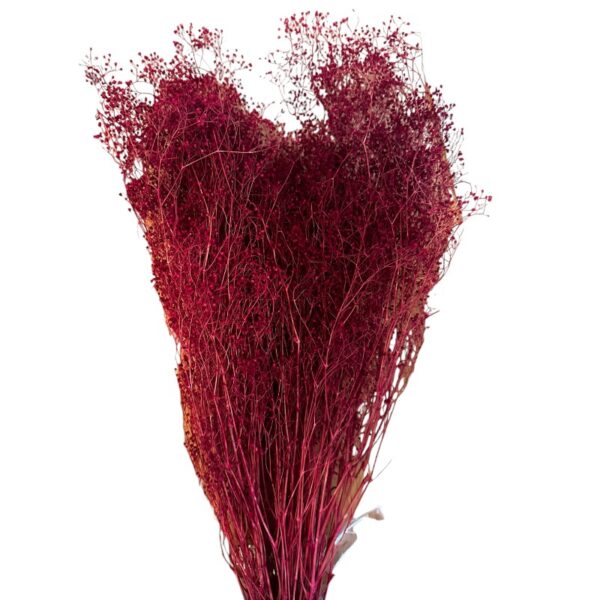 Dry baby's breath red