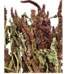 Dry Amaranthus brown 1 bunch