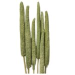 Dry Babalas green 5 units