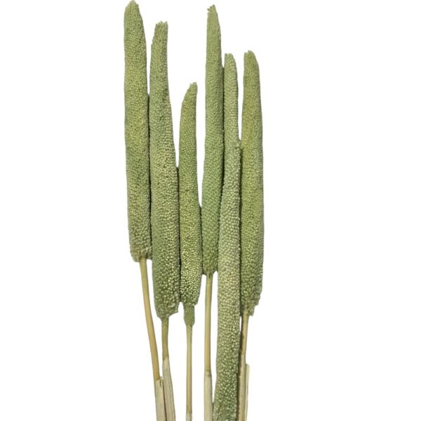 Dry Babalas green - Image 2