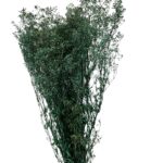 Dry baby's breath blue - Image 2