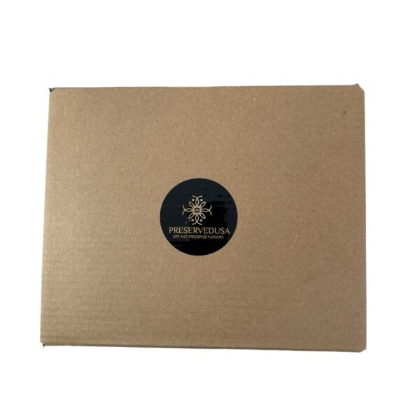 10 Dry mushrooms sponged. Box - Image 2