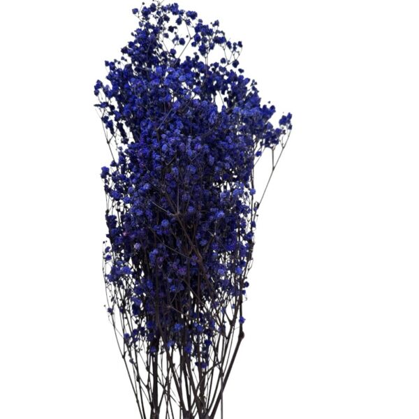 Preserved dark blue Gypsophila - Image 2