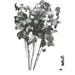 Dry Lunaria silver - Image 2