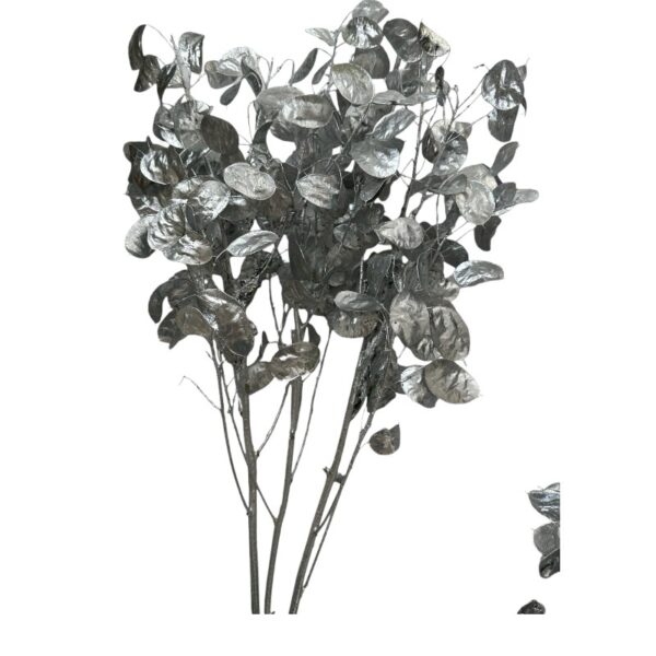 Dry Lunaria silver - Image 2
