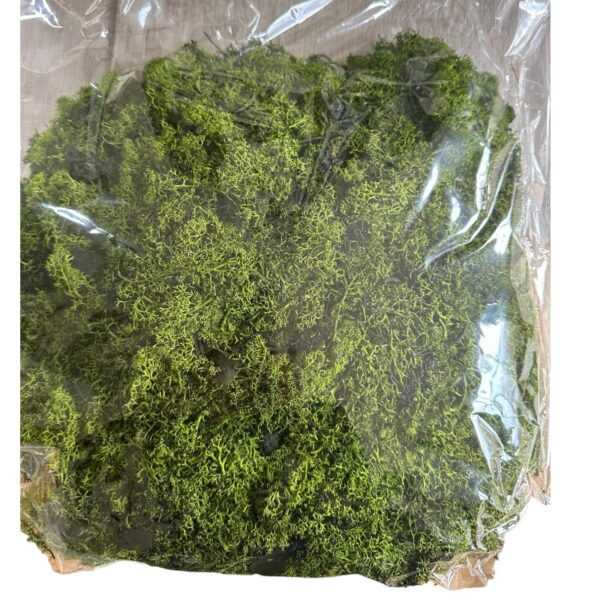 Preserved bag Finnish dark green