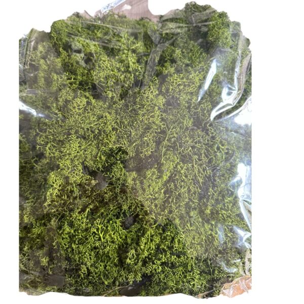 Preserved bag Finnish dark green - Image 2
