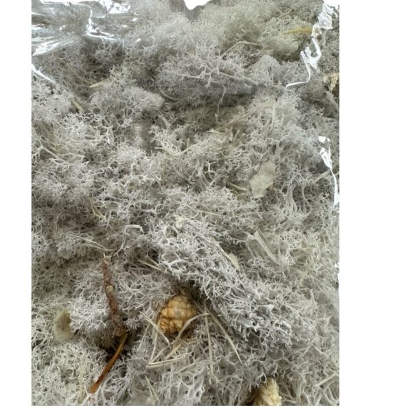 Preserved bag Finlandes white