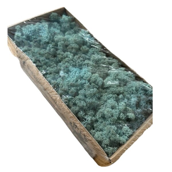 Preserved box Finnish light blue - Image 3