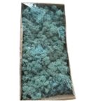 Preserved box Finnish light blue - Image 2