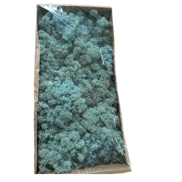Preserved box Finnish light blue - Image 2