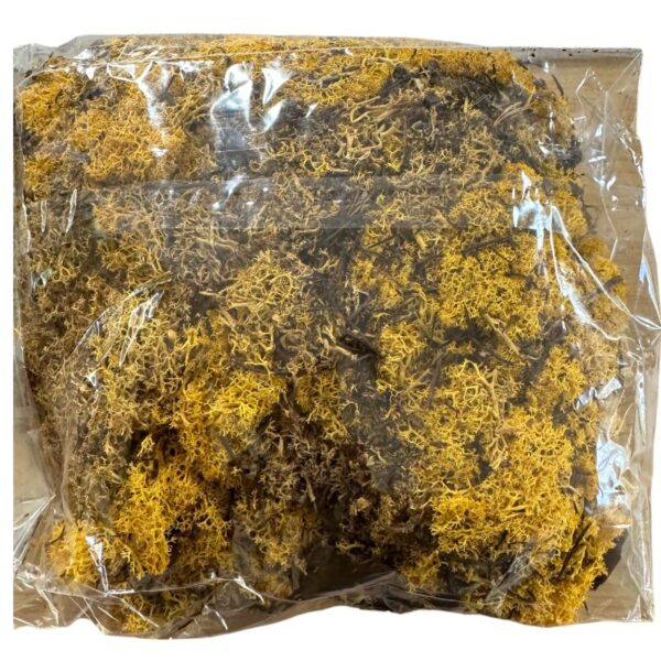 Preserved bag Icelandic moss yellow - Image 2